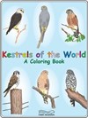 Preview of Kestrels of the World